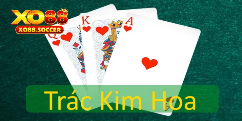 trác kim hoa