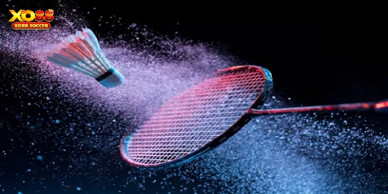 Tiết lộ lối chơi cá cược cầu lông hiệu quả 